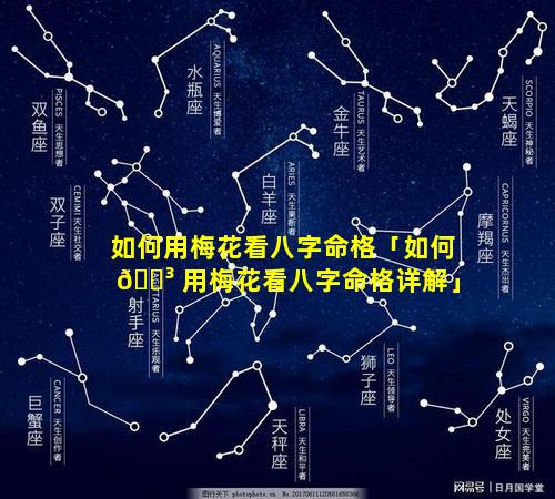 如何用梅花看八字命格「如何 🐳 用梅花看八字命格详解」